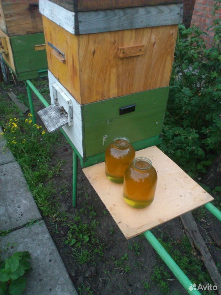 Мёд пчелиный (разнотравие с подсолнухом) купить на Зозу.ру - фотография № 2