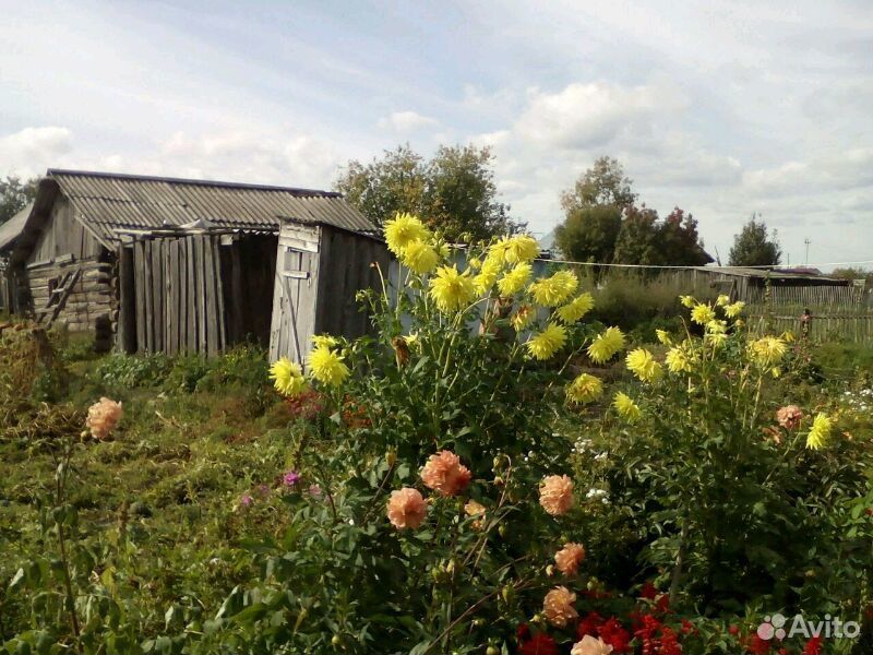 Акулово алтайский край. Барнаул деревня. Деревня Акулово.