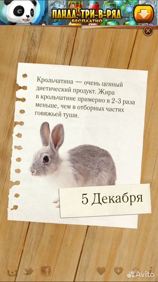Домашнее мясо кролика купить на Зозу.ру - фотография № 2