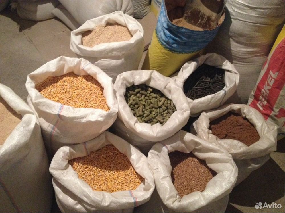 Кукуруза,пшеница,ячмень,комбикорм купить на Зозу.ру - фотография № 5