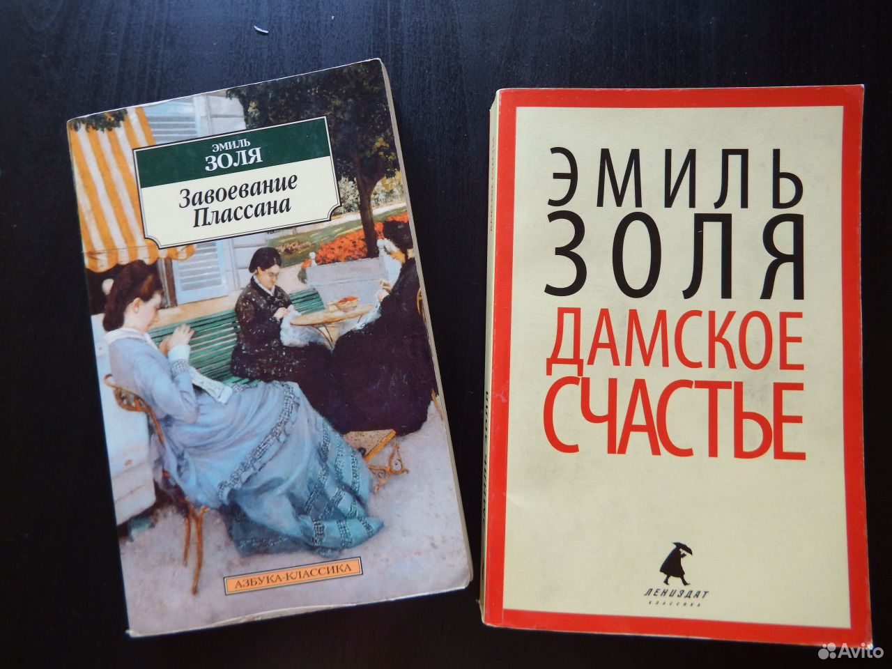 Собственность зверя аудиокнига. "золи". Pocketbook книга классика. Золи слушать аудиокнигу. Золи слушать аудиокнигу.