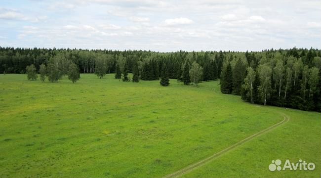 Купить Участок Архитектор Боровский