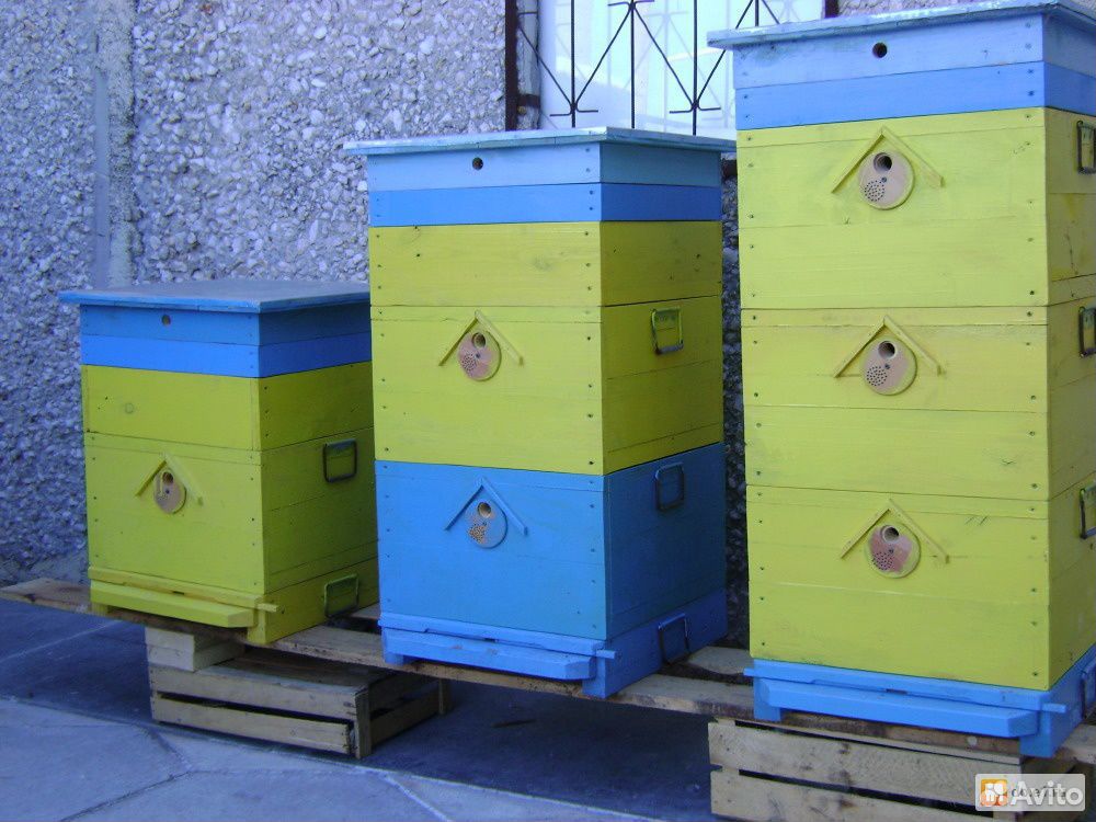 Продам ульи для пчел купить на Зозу.ру - фотография № 1