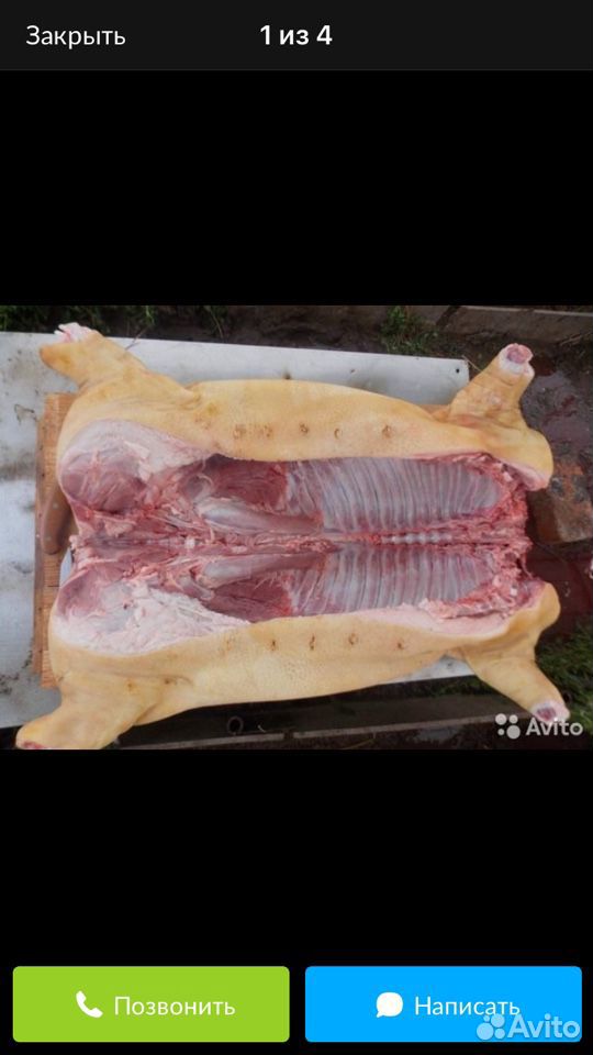 Свиньи на мясо. Свинина купить на Зозу.ру - фотография № 1