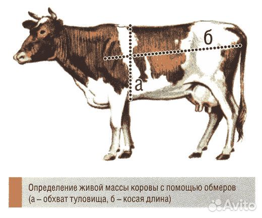 Лента мерная для коров купить на Зозу.ру - фотография № 2