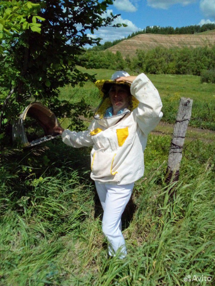 Пчелосемьи, ульи, корпуса купить на Зозу.ру - фотография № 2