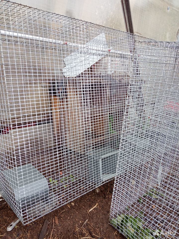 Клетки для кур, кроликов купить на Зозу.ру - фотография № 4