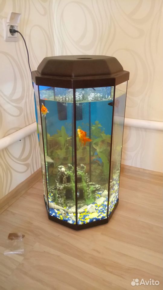 Продам аквариум 50 л купить на Зозу.ру - фотография № 1
