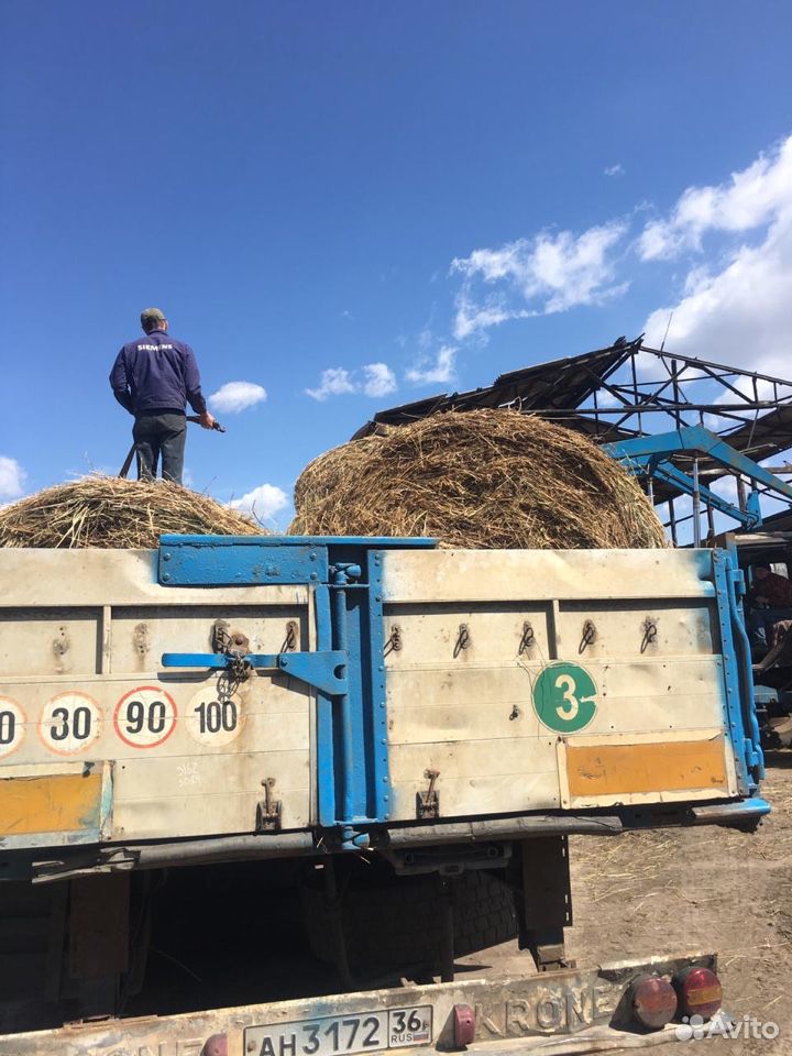 Продам сено урожай 2019 купить на Зозу.ру - фотография № 1