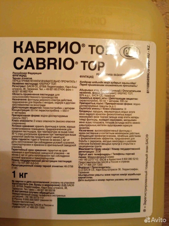 Чем можно заменить фунгицид в домашних условиях Фунгицид кабрио топ купить на Зозу.ру