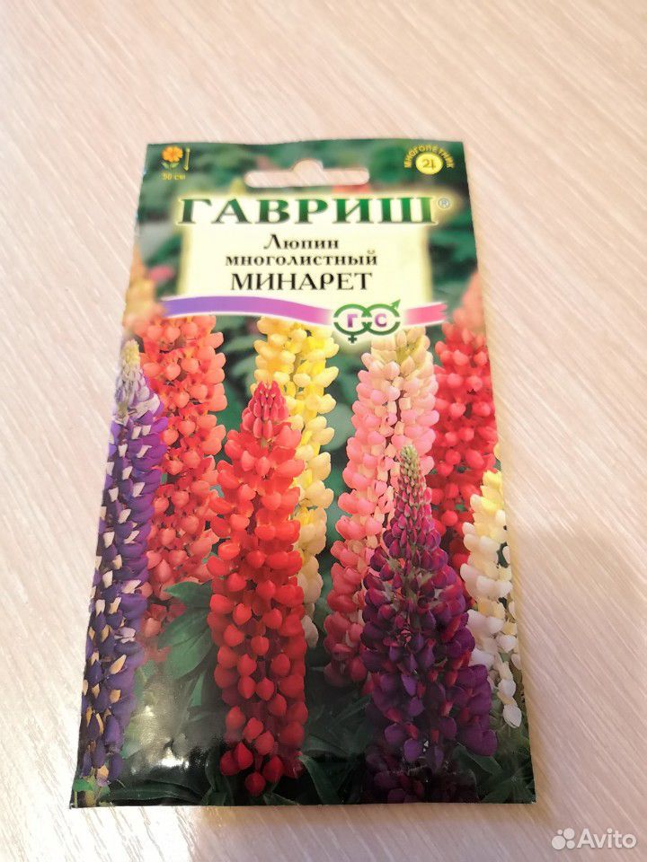 Семена цветов купить на Зозу.ру - фотография № 7