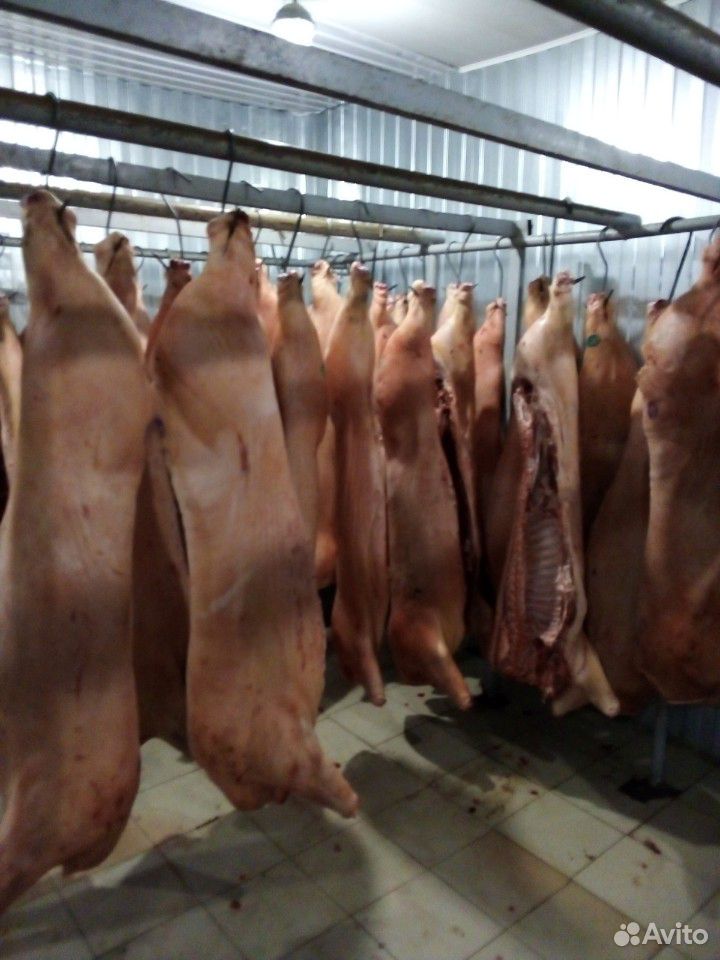 Мясо свинины в полутушах купить на Зозу.ру - фотография № 1