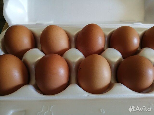 Яйцо купить на Зозу.ру - фотография № 3