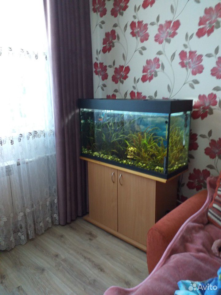 Продам аквариум,с рыбами и всем содержимым купить на Зозу.ру - фотография № 2
