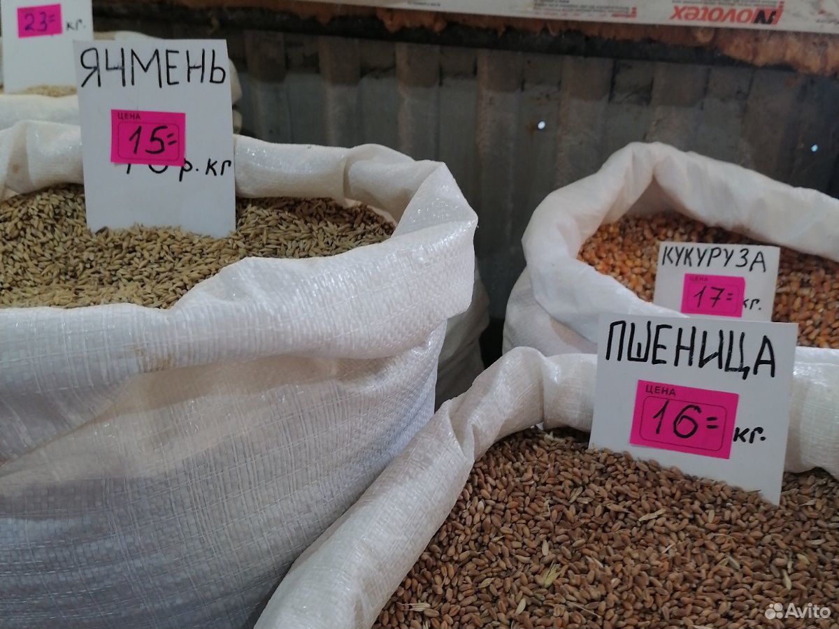 Комбикорм пшеница купить на Зозу.ру - фотография № 2