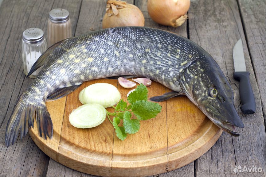 Рыба щука свежая купить на Зозу.ру - фотография № 1