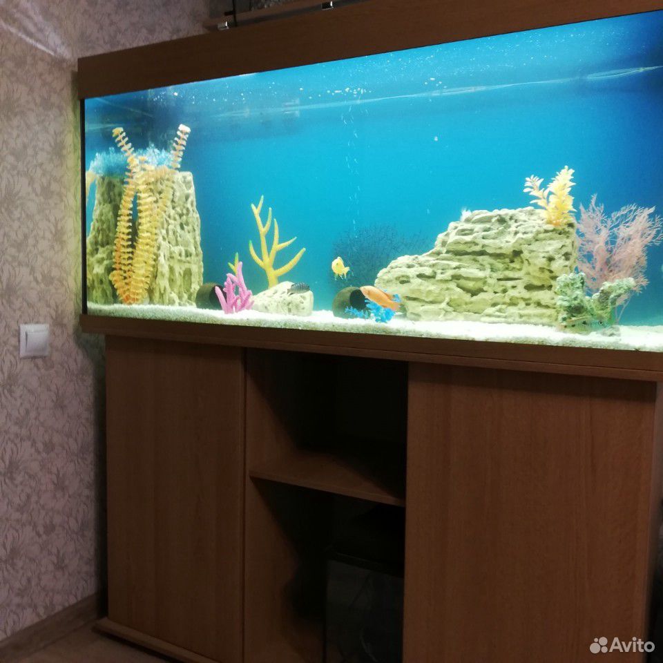 Украшение для аквариума купить на Зозу.ру - фотография № 3