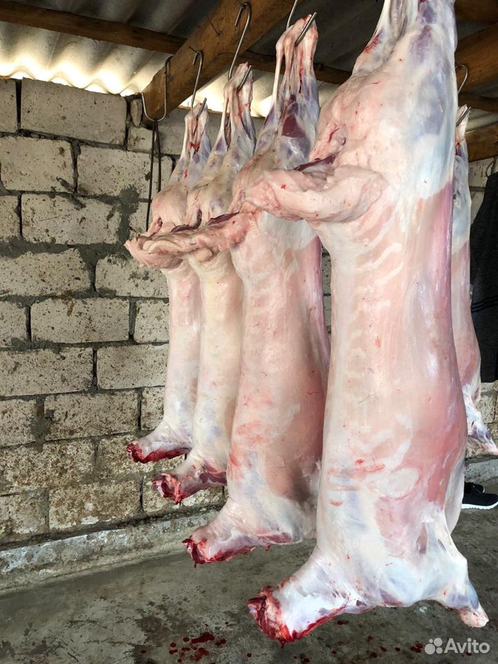 Мясо баранины И птицыы (бройлер) купить на Зозу.ру - фотография № 1