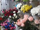 Продам цветочный павильон действующий объявление продам