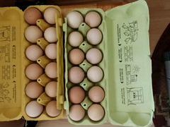 Инкубационое куриное домашние яйцо