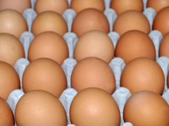 Яйца инкубационные Белого Плимутрока и Белого Корн