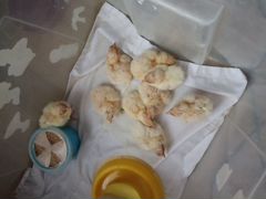 Цыплята породы минимясо палевые
