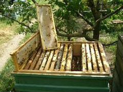 Принодлежности для пчеловодства