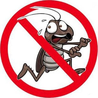 Уничтожение насекомых: тараканов, клопов, ос, шерш
