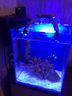 Морской аквариум готовый. Куб 30 литров