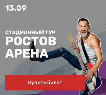 Билет на концерт Ленинград