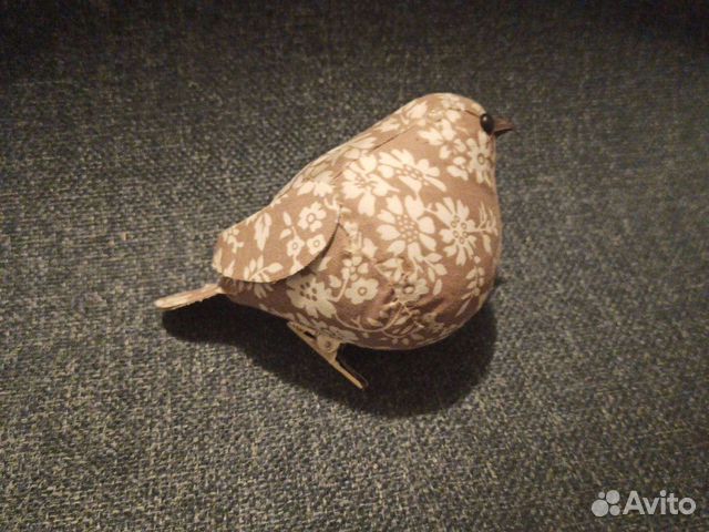 Голубь, птичка декоративная