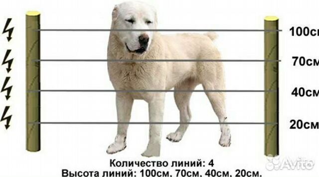 Электроизгородь электропастух от собак