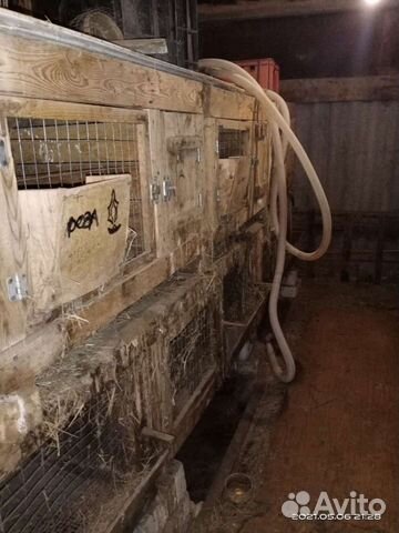 Клетки для кроликов бу