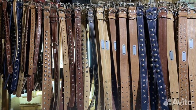 Амуниция для собак