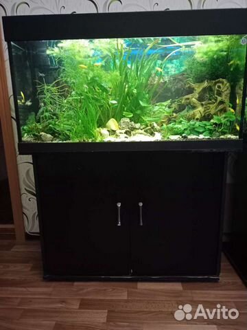 Аквариум