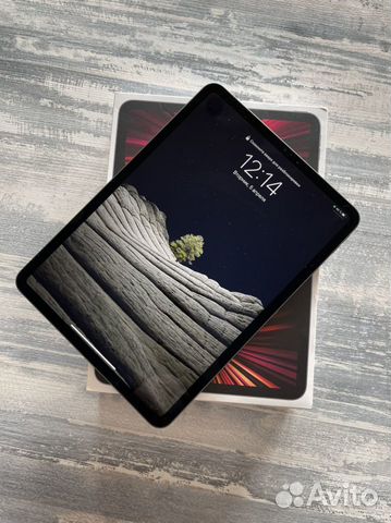 iPad Pro 11-inch WI-Fi 2021 256 gb Space Gray