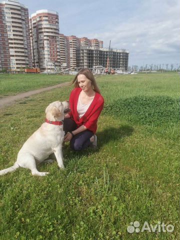 Передержка домашних животных