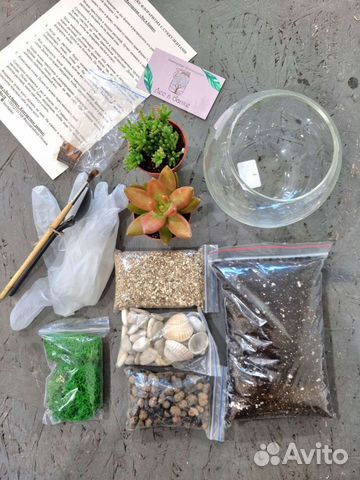 Набор для создания флорариума (размер S)