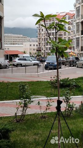 

Квартира-студия, 38 м², 2 кровати
