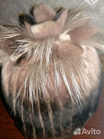 Шапка зимняя Шапка зимняя