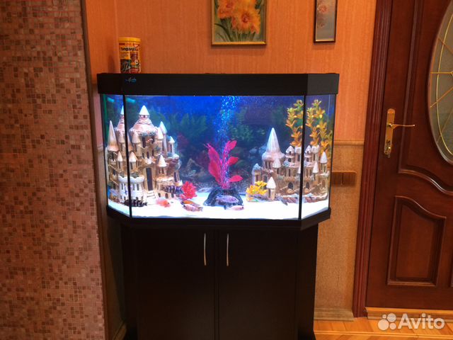 Обслуживание аквариумов