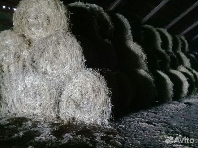 Солома пшеничная в рулоне купить на Зозу.ру - фотография № 4
