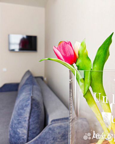 

1-к. квартира, 28 м², 1 кровать