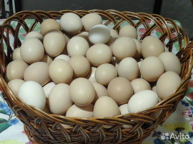 Яйцо куриное домашнее с доставкой