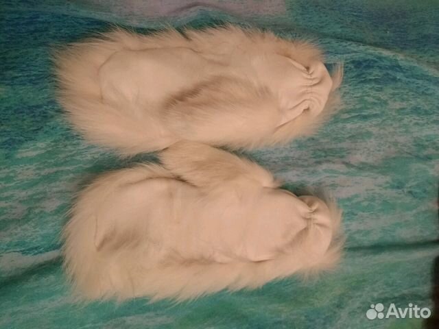 Варежки нат. мех (песец), нат. кожа Варежки нат. мех (песец), нат. кожа