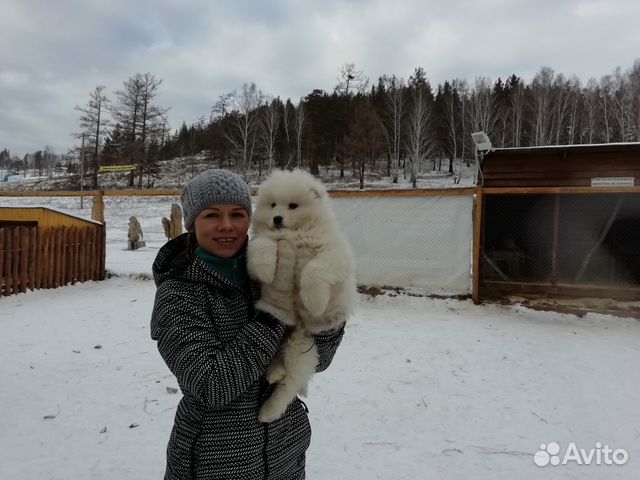 Передержка вашего питомца