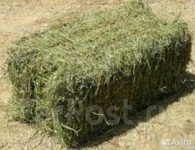 Луговое сено купить на Зозу.ру - фотография № 3