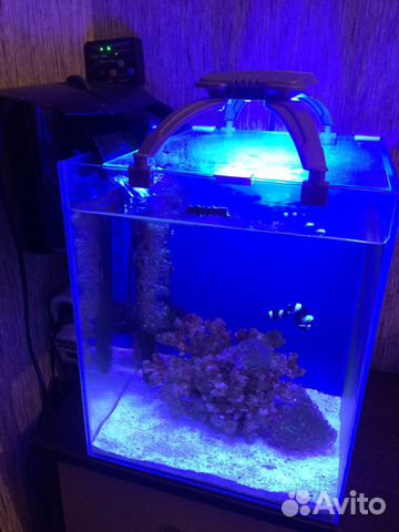 Морской аквариум готовый. Куб 30 литров купить на Зозу.ру - фотография № 1