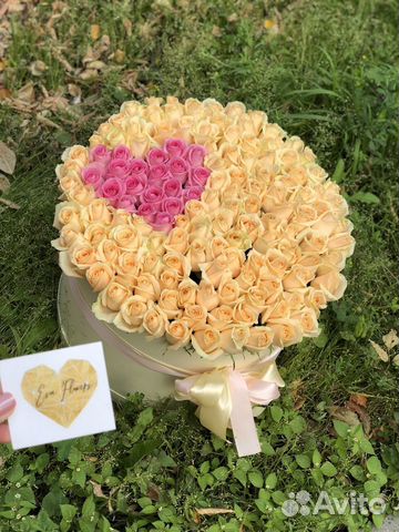 151 роза 151 роза