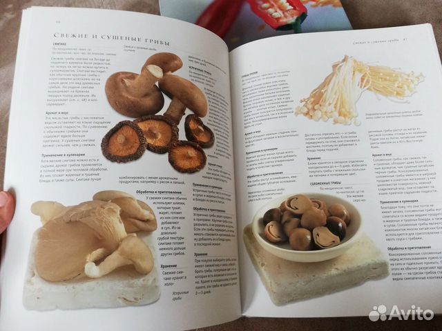 Практическая энциклопедия азиатской кухни Практическая энциклопедия азиатской кухни